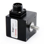 DynapaR 22 Qube Encoder