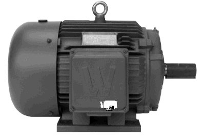 Worldwide Electric - Industrial Duty Three Phase Electric Motors