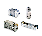 Schrader Bellows Air Valve